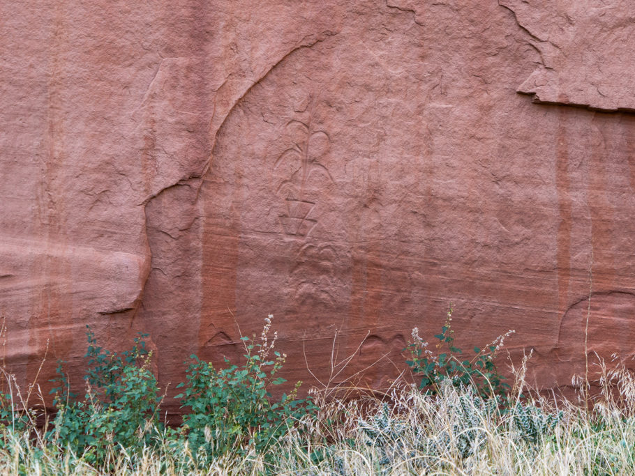 Petroglyphen im Canyon de Chelly: Maispflanzen