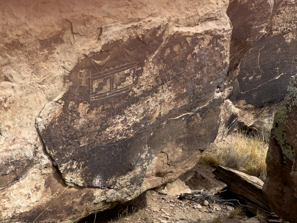 Petroglyphen im Petrified Forest National Park