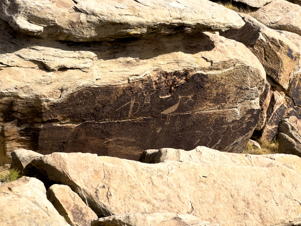 Petroglyphen im Petrified Forest National Park