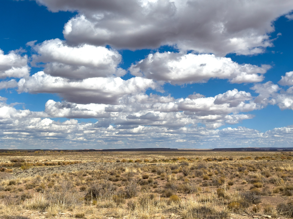 Weite Ebene hier im Petrified Forest National Park