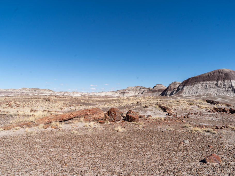 Im Vordergrund Teile eines versteinerten Baumes im Petrified Forest NP