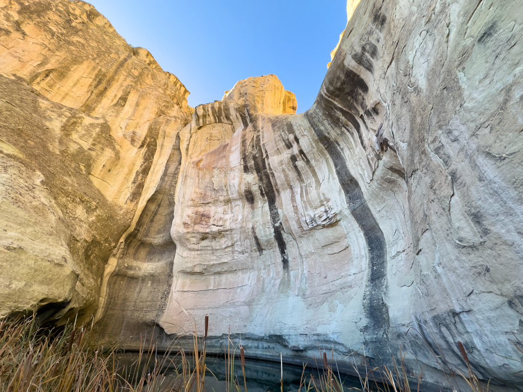 Unsere Wanderung im El Morro Monument. Hier bei der kleinen Wasserstelle