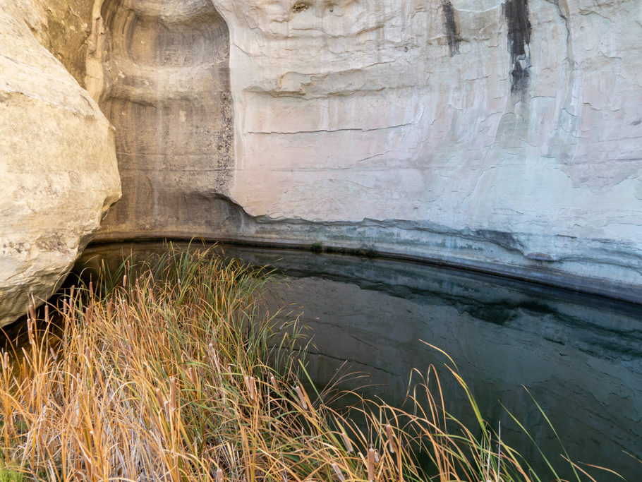 Unsere Wanderung im El Morro Monument. Hier bei der kleinen Wasserstelle