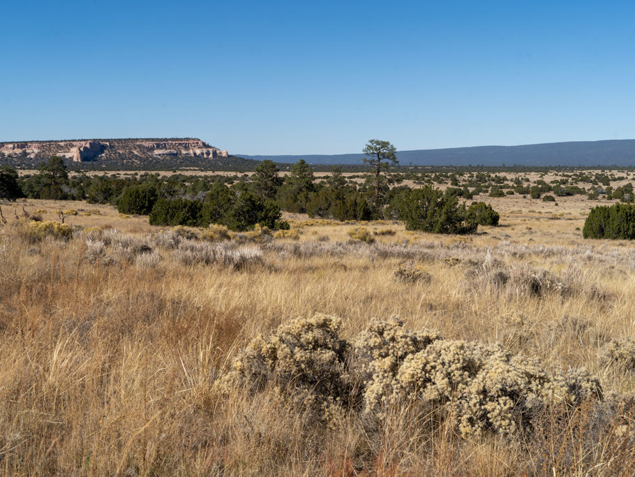 Unsere Wanderung rund um das El Morro Monument. Heidelandschaft