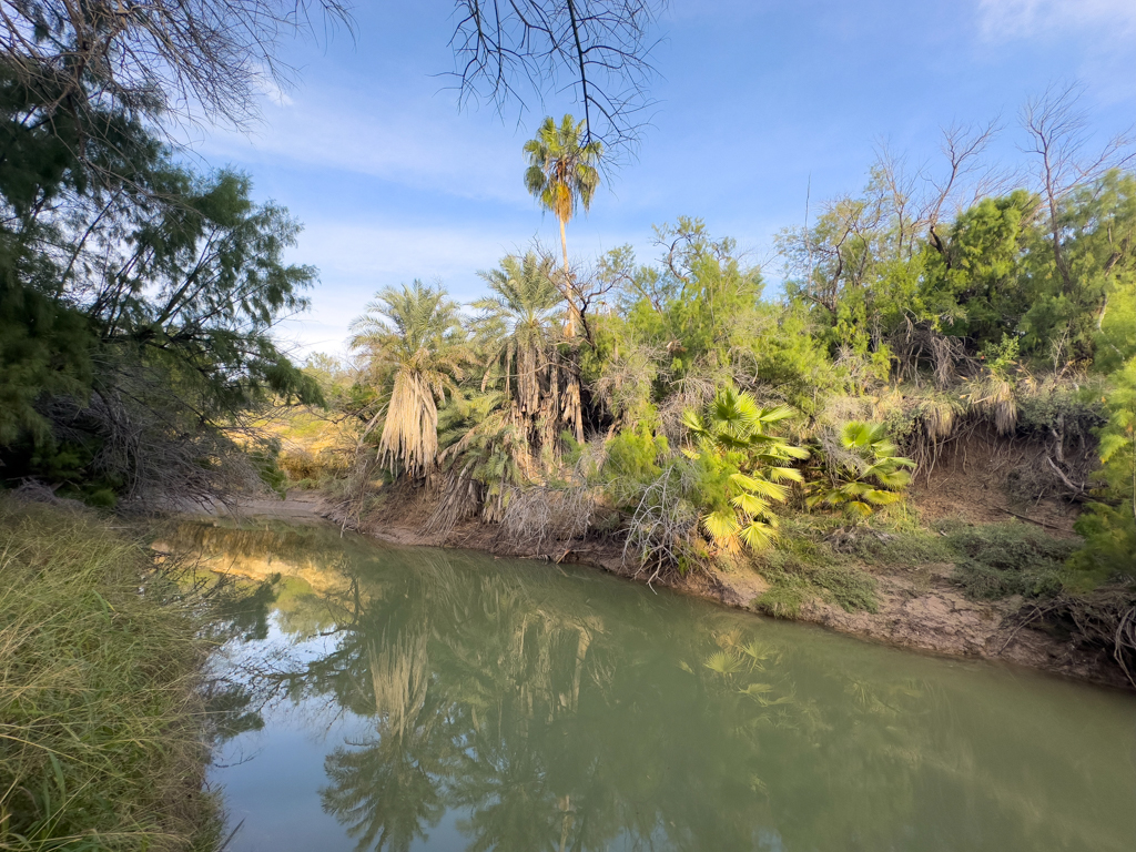 Ein kleiner Zufluss zum Rio Grande