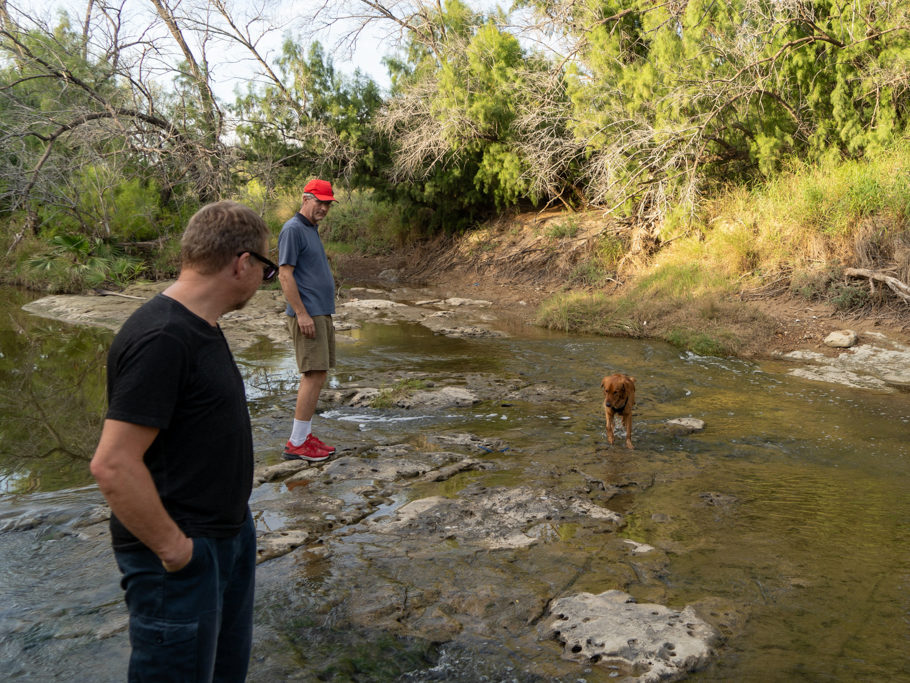 Wildes Grün am kleinen Zufluss zum Rio Grande. Loki schlabbert etwas frisches Wasser