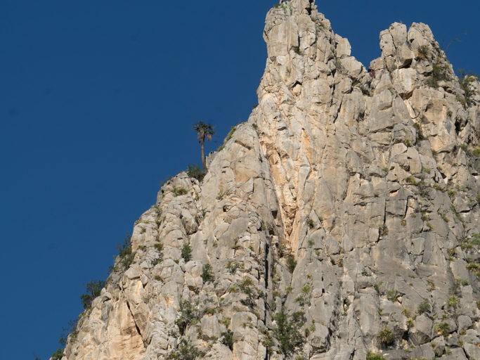 Senkrechte Kletterwand mit kleinen Kletterern fast oben angekommen.