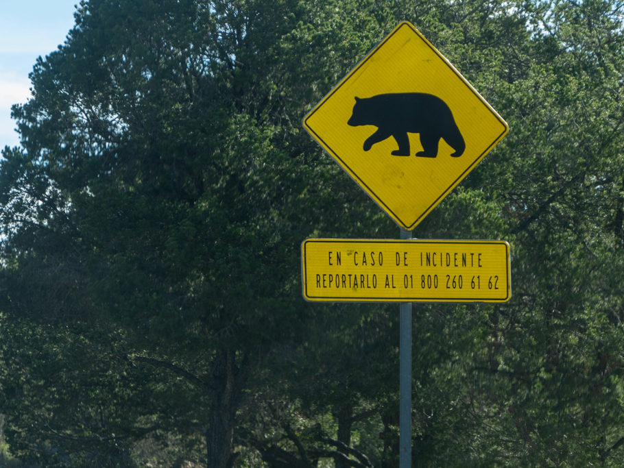 Warnung vor Schwarzbären (auch wenn auf dem Schild ein Grizzly abgebildet ist...)