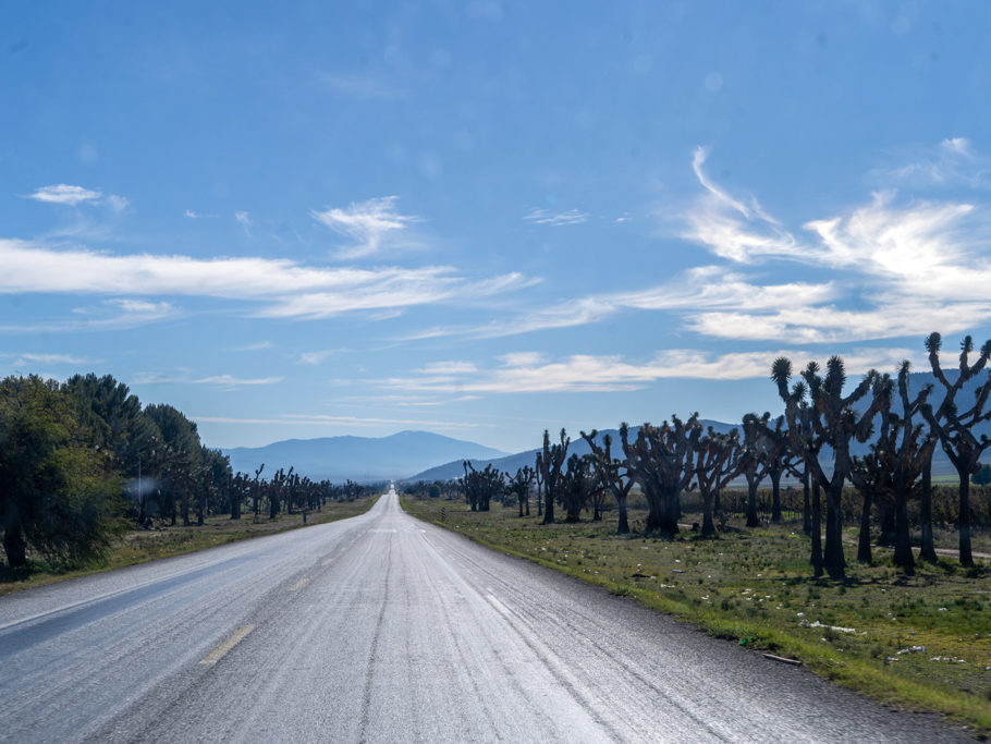 Sierra Madre Oriental zwischen Saltillo und Matehuala