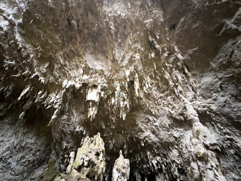 Eindrucksvolle Stalaktiten in der Gruta San Cayentano