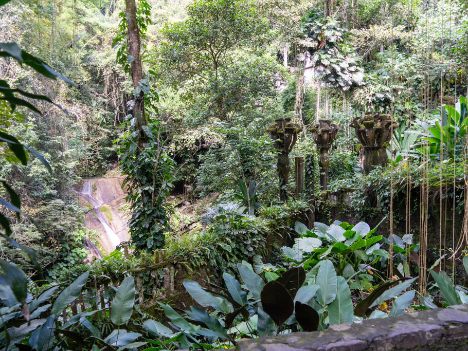 Wie übergrosse Kerzenhalter die sich die Natur zurück erobert
