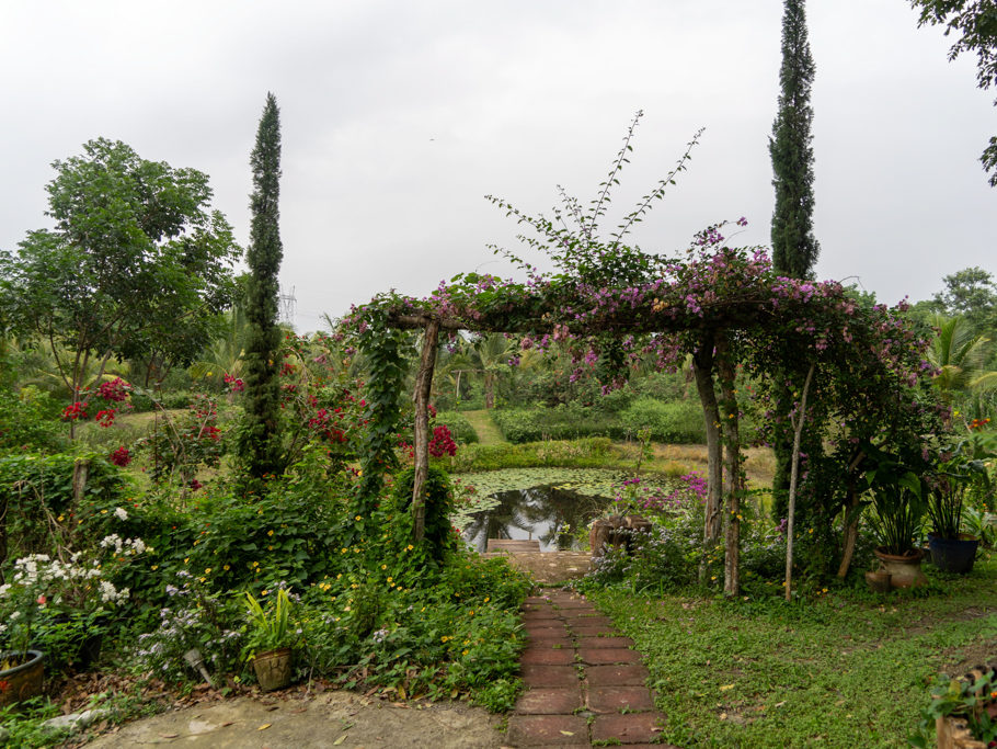 Weg zum kleinen Teich in der Eco Lodge