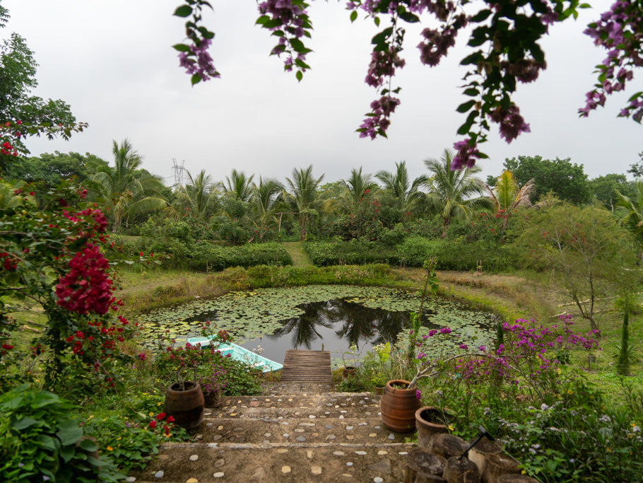 Weg zum kleinen Teich in der Eco Lodge