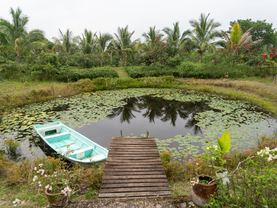 Steg am kleinen Gartenteich in der Eco Lodge