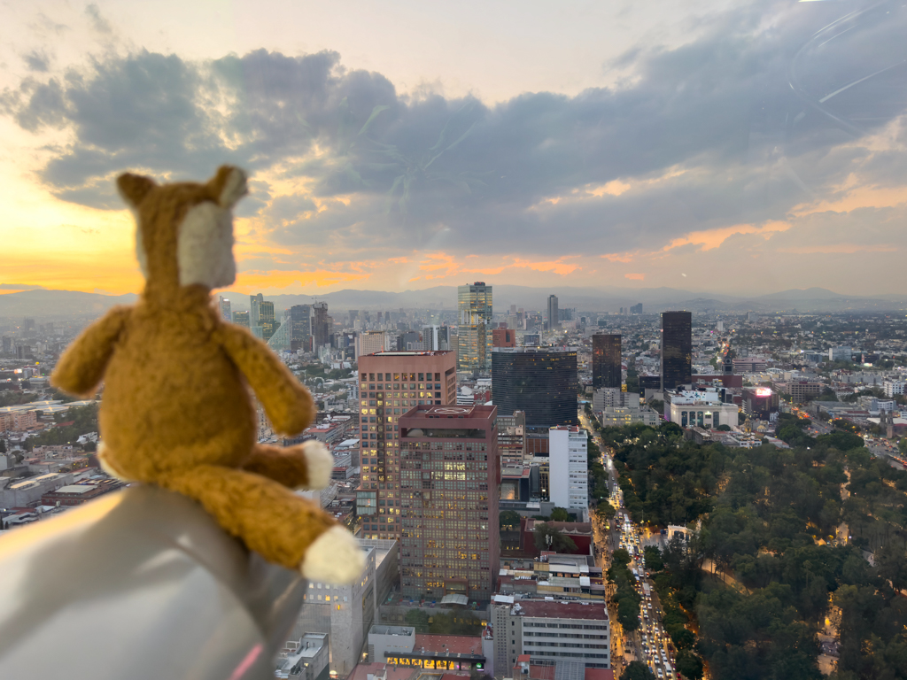 Mo blickt vom Torre Latinoamericana über CDMX