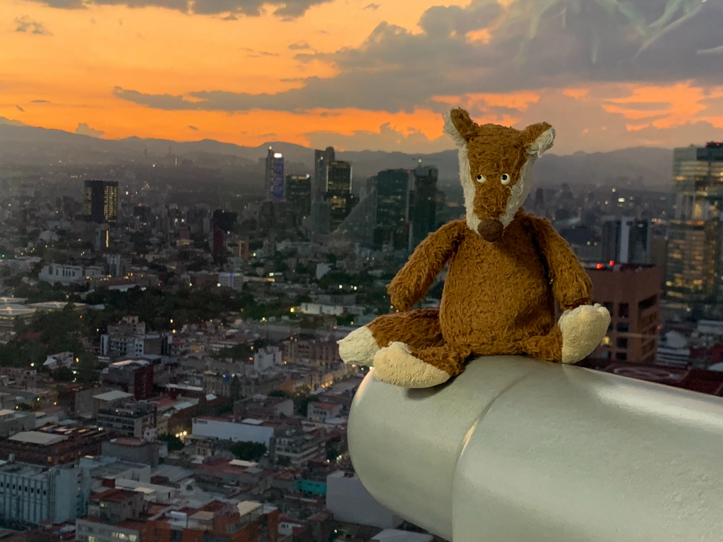 Mo blickt vom Torre Latinoamericana über CDMX