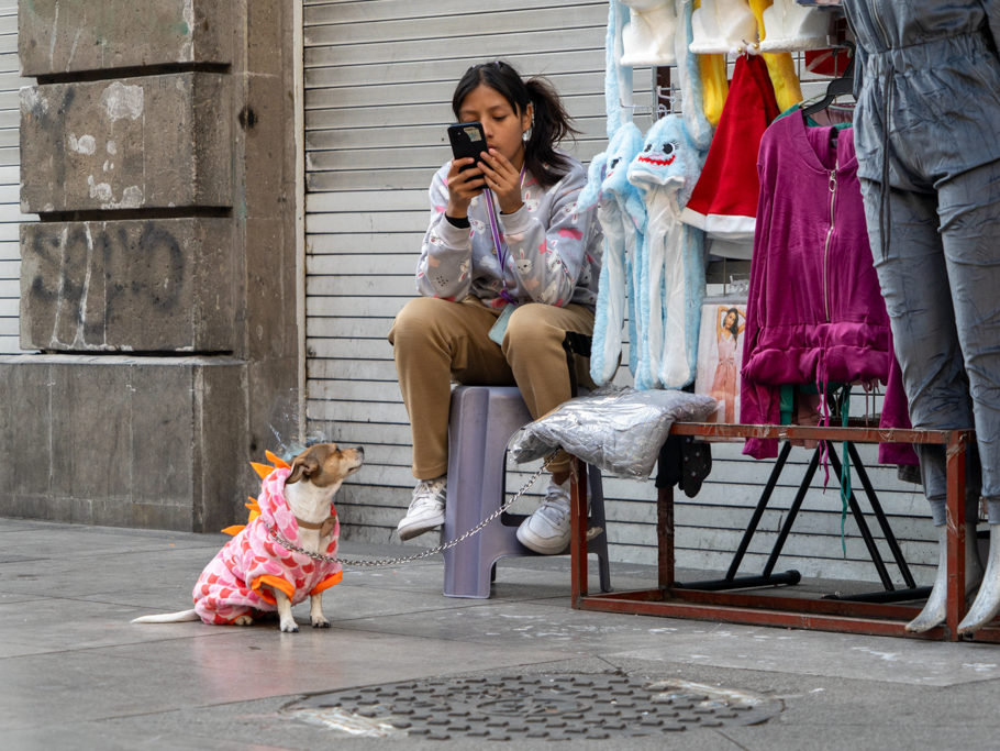 Strassenbild mit kleinem Hund in CDMX