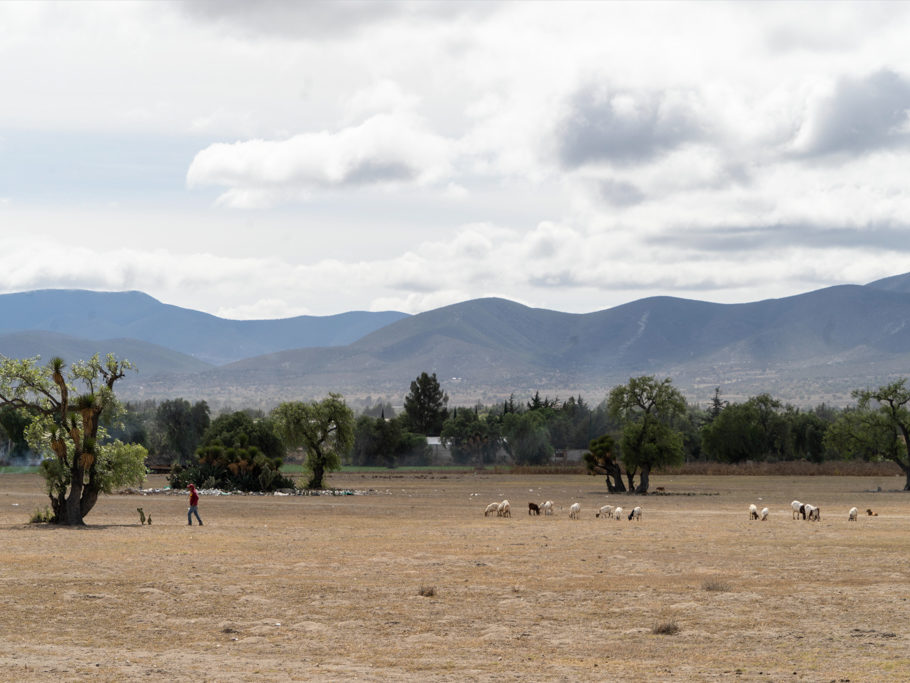 fast nackter Boden auf dem Hochplateau rund um CDMX