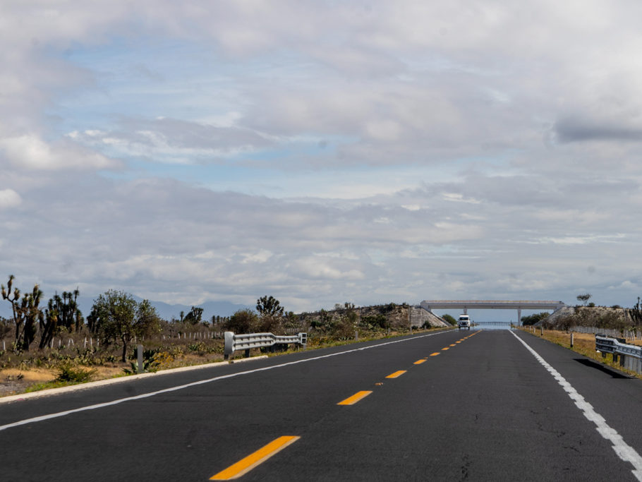 Auf heisser Strasse unterwegs ins Tehuacán-Cuicatlán Biosphären Reservat