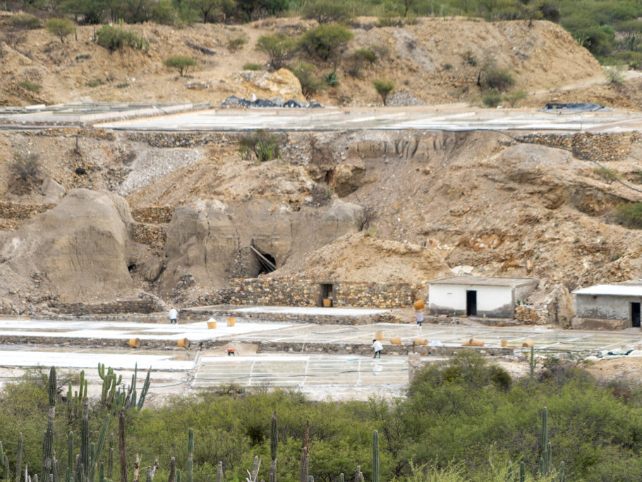 Blick auf die kleine Saline mit ihren Salzfeldern am Rande des Tehuacán-Cuicatlán Biosphären Reservates