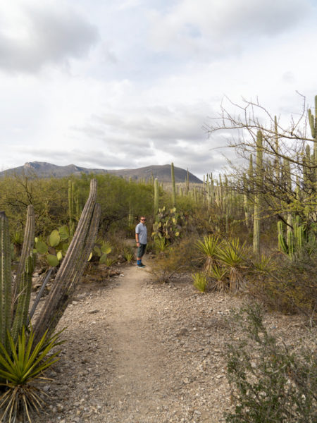 Jo im Tehuacán-Cuicatlán Biosphären Reservat