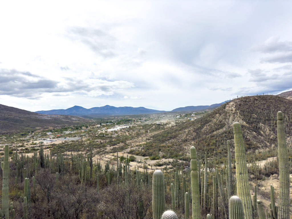 Tehuacán-Cuicatlán Biosphären Reservat, Aussicht auf Zapotitlán