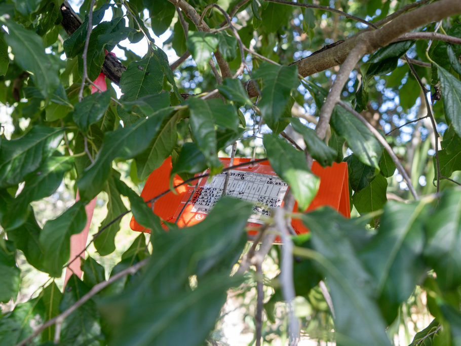 BioControl in den Ruinen von Oxkintok