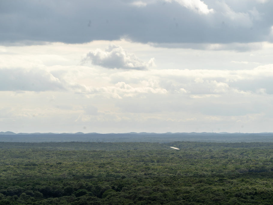 Ausblick vom Mirador nach Uxmal in die immer grüne Landschaft. Bei gutem Wetter sieht man die Pyramiden.