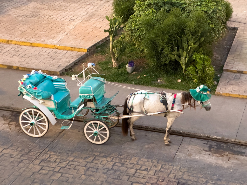 Bunte und aufwändig geschmückte Kutsche in Izamal