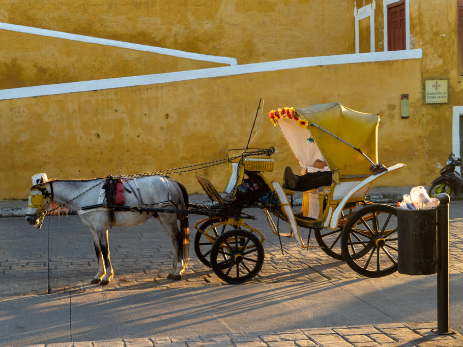 Pferd und Kutsche, gelb in gelb geschmückt, in der Gelben Stadt Izamal
