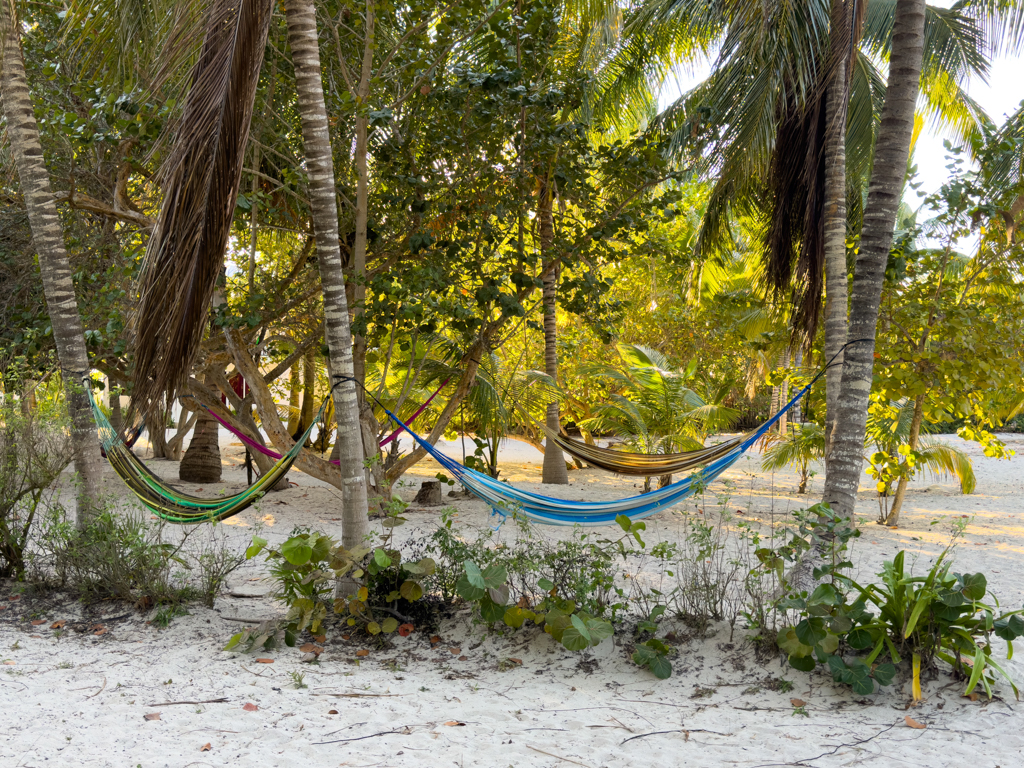 Entspannung pur: Chillen mit Hängematten hier im Palula Beach Camping.