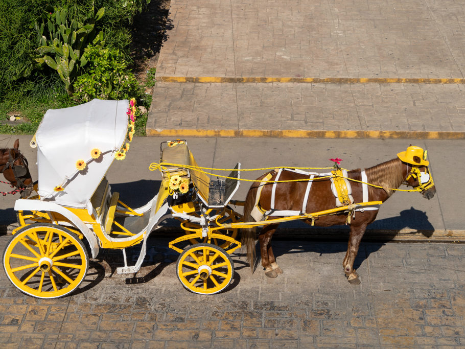 In Izamal der gelben Stadt mit den gelben Häusern und den gelben Autos sind selbst die Pferdekutschen gelb