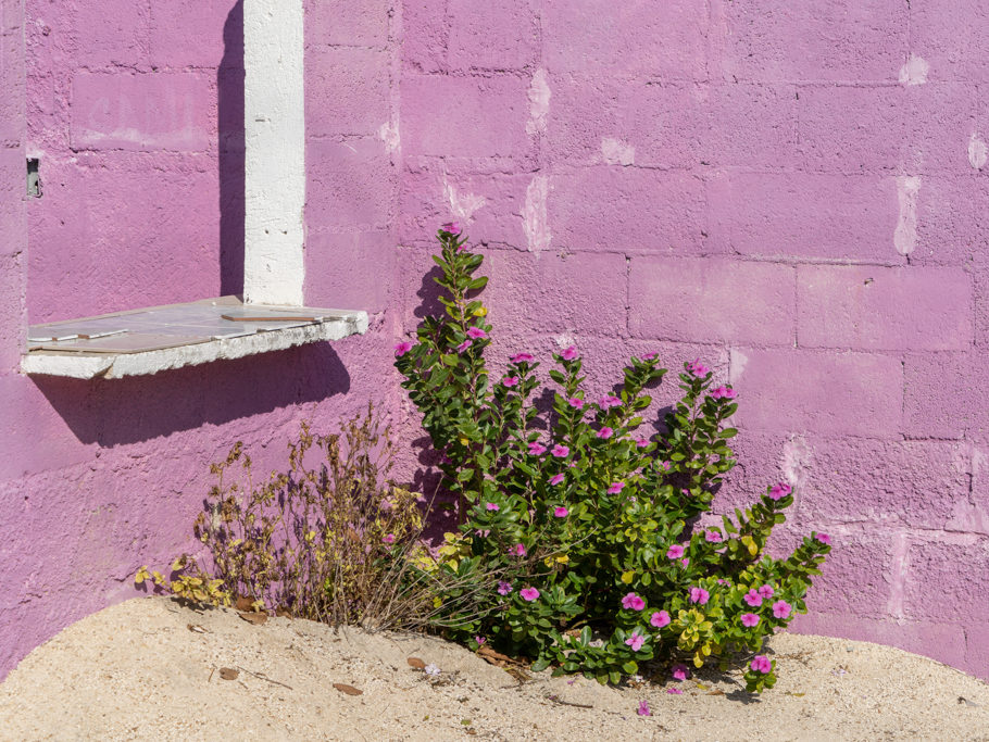 Beim Spaziergang durch San Crisanto: Ton in Ton. Blumenpracht vor Hauswand