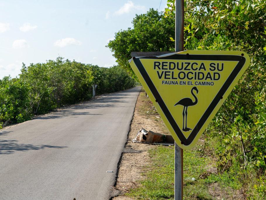 REDUCZA SU VELOCIDAD FAUNA EN EL CAMINO Geschwindigkeit reduzieren. Fauna ist entlang der Strasse