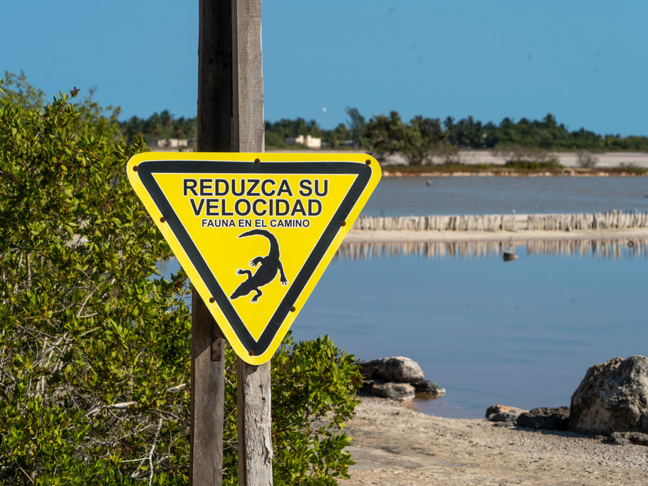 REDUCZA SU VELOCIDAD FAUNA EN EL CAMINO Geschwindigkeit reduzieren. Fauna ist entlang der Strasse