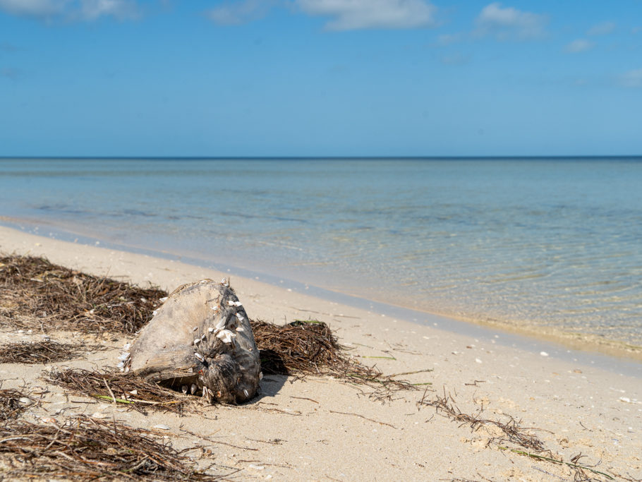 Entlang des Strands am flachen Meer bei San Cristobal