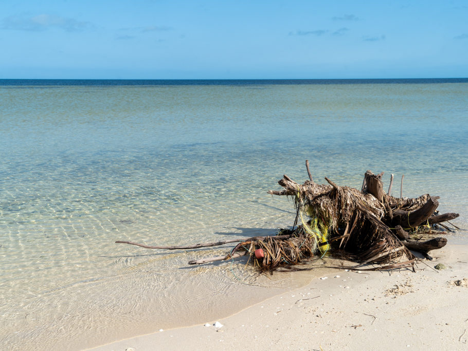 Entlang des Strands am flachen Meer bei San Cristobal. Wie ein Wellenbrecher. Baumstamm mit angeschwemmten Seegrass und Anderem