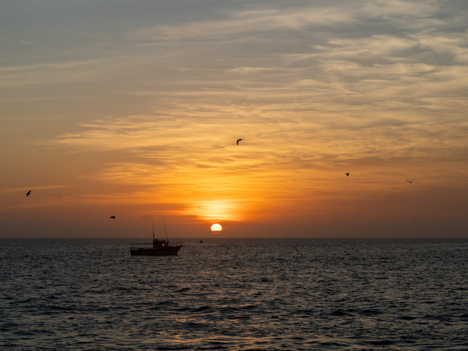 fliegende Pelikane auf Futtersuche. Ein Fischerboot dümpelt im Abendlicht vor Celestun dahin