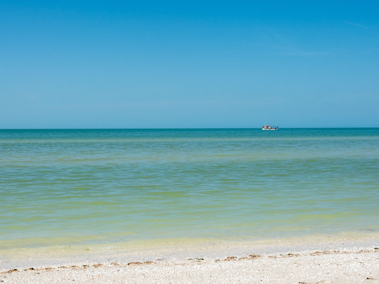 Mittag: Es ist low tide am Strand von Celestun. Das Meer ist ruhig und flach