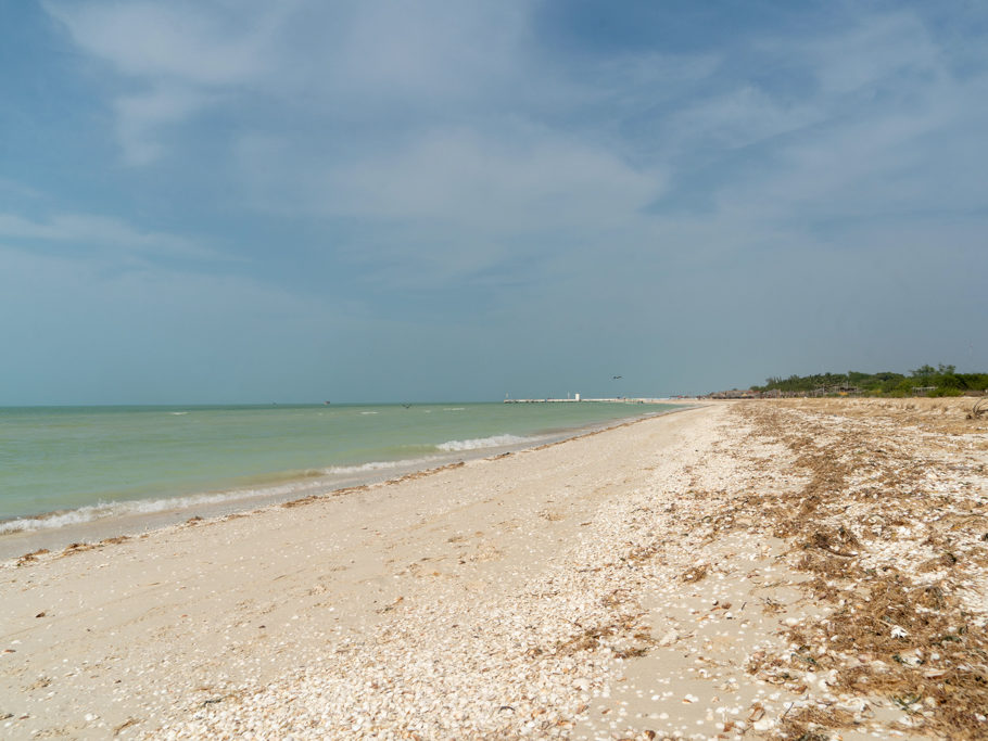 weiter Strand bei morgendlicher Ebbe in Richtung Celestun