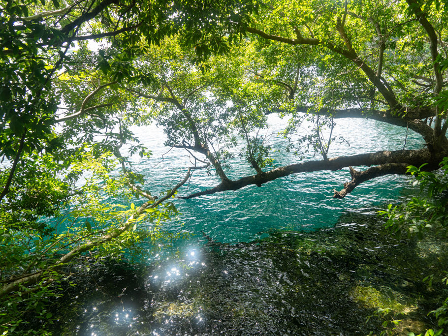 verdeckter Blick auf die grosse Cenote hier in Bacalar