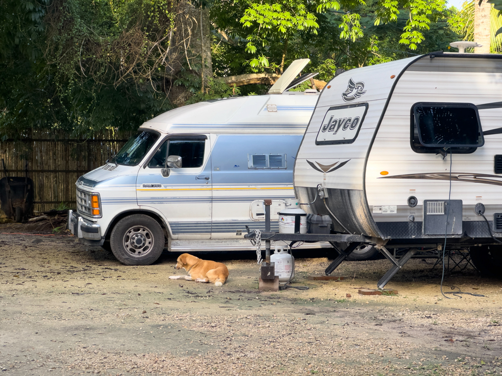 Martha mit "Wachhund" im Campground bei Bacalar