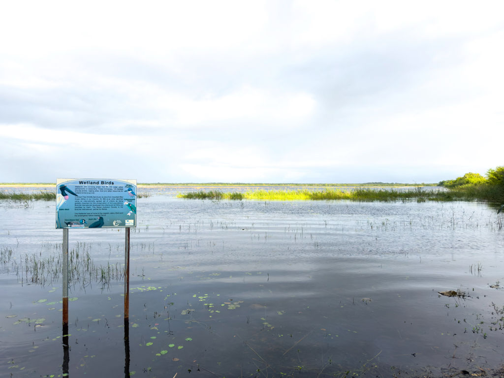 Das Vogelparadies, im Moment etwas "Land unter": Die Nothern Lagoon im Abendlicht bei Crooked Tree