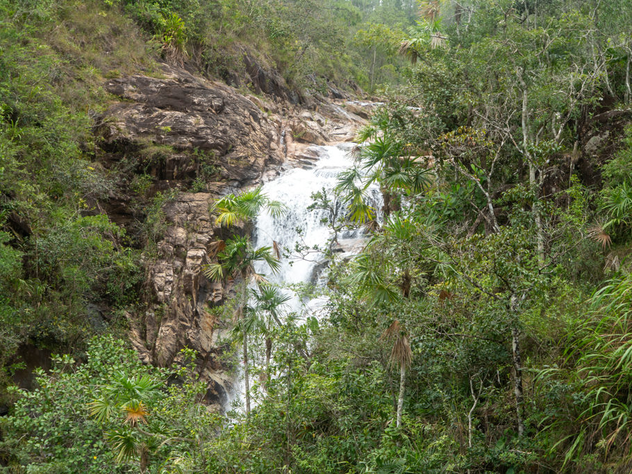 Durch die Bäume ein Blick auf die Big Rock Falls