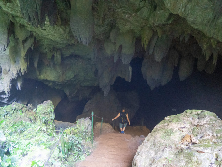 Das Ende unserer Wanderung. Der Ausgang aus der St. Hermans Höhle. Weiter geht es ohne Guide nicht in die Dunkelheit hinein