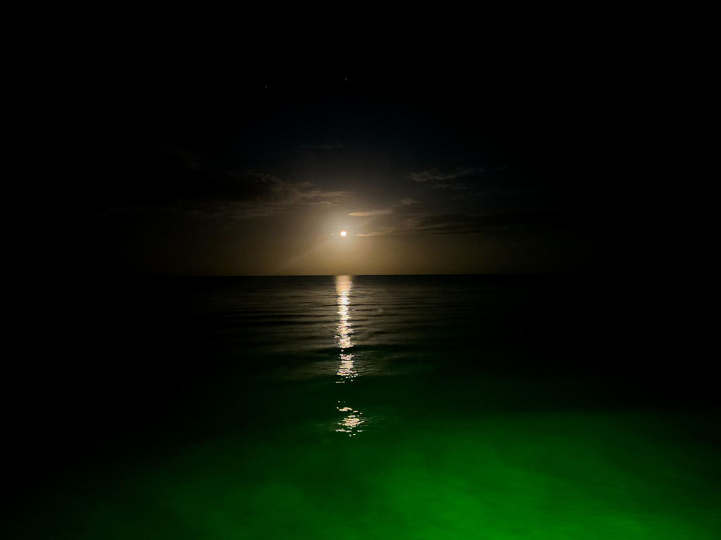 Der Mitternachts Mond über dem Meer von Hopkins