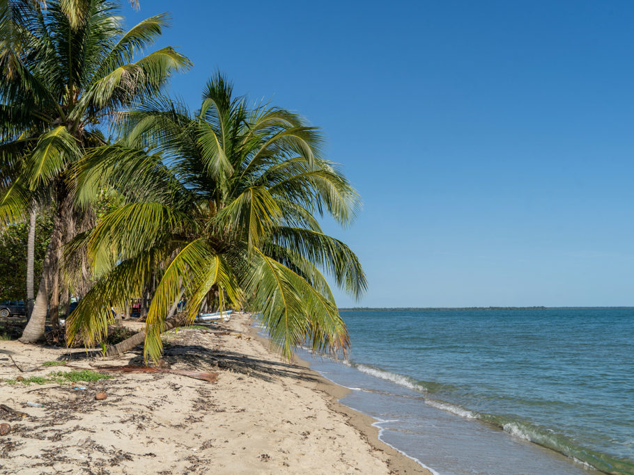 Strand von Hopkins