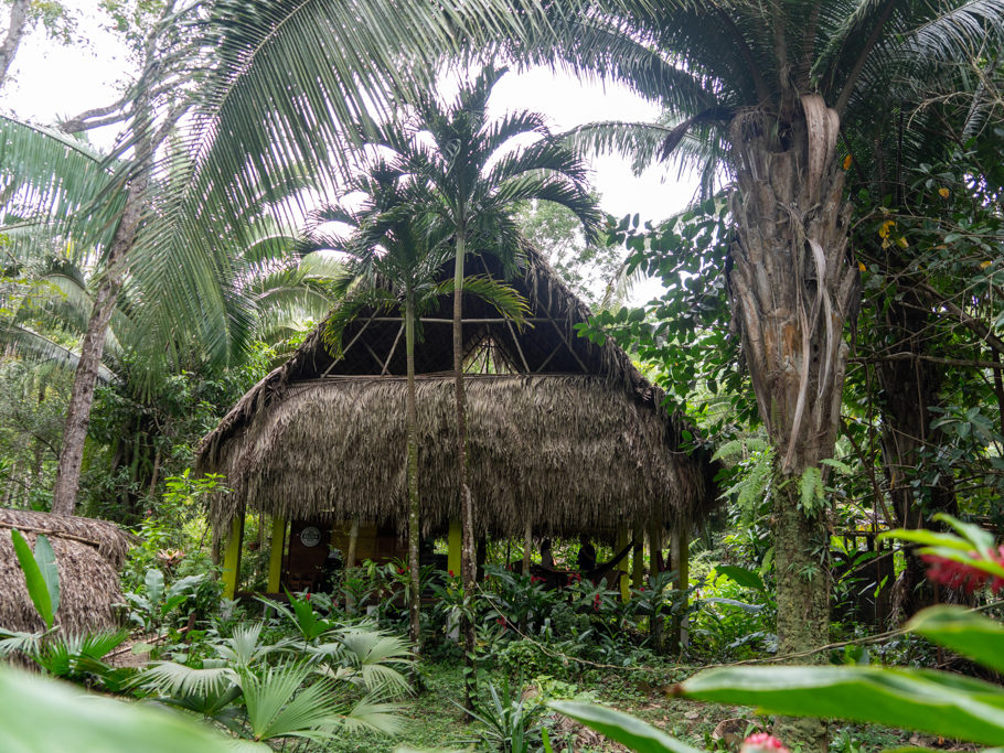 Grosse Gemeinschafts-Palapa in der Sun Creek Lodge