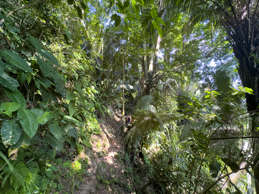 Jo auf dem steilen Wanderweg im Dschungel zum Antelope Waterfall