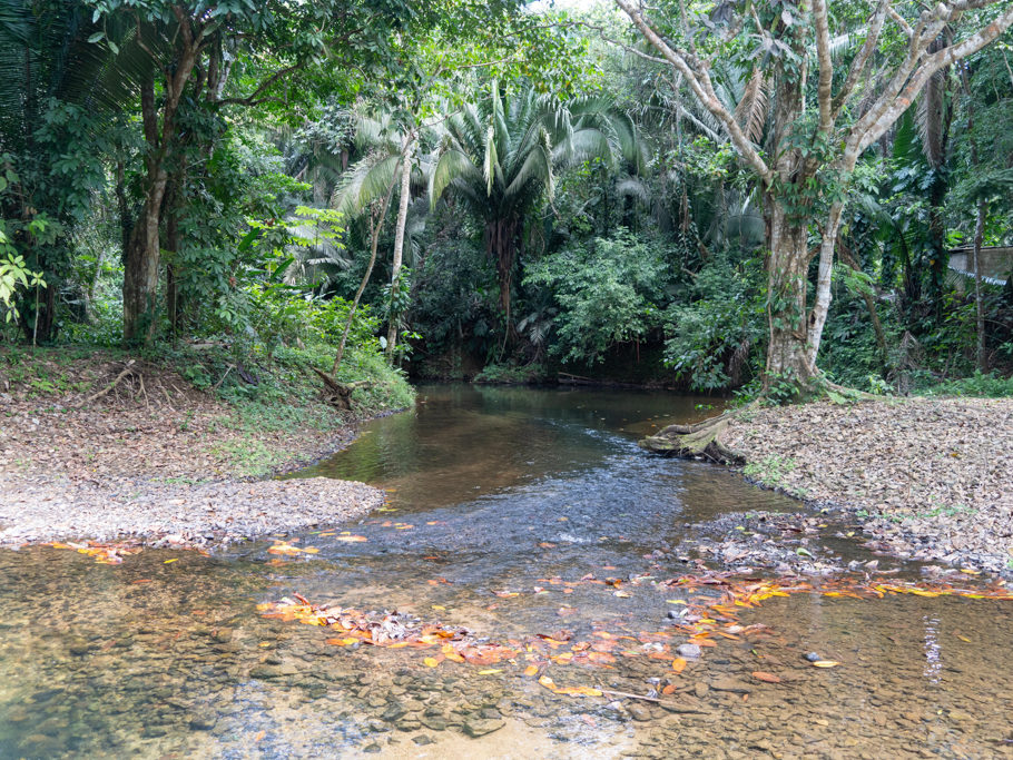 Der lauschige Bach neben dem Campground lädt ebenfalls zum Baden ein